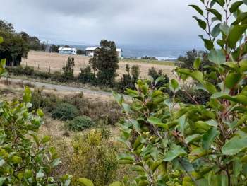 Venta Agrícola Dalcahue - Los Lagos