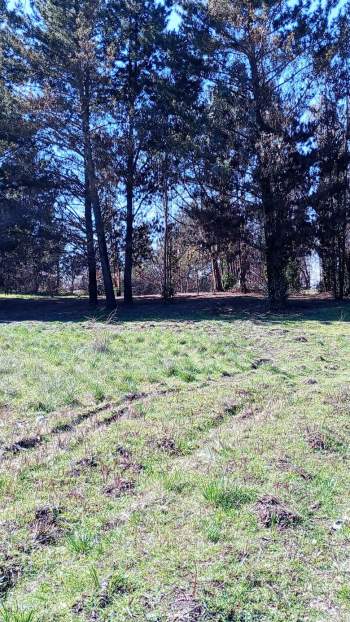 Venta Terreno Yumbel - Biobío