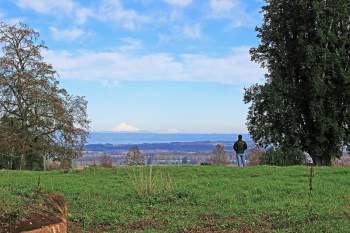 Venta Terreno Río bueno - Los Ríos