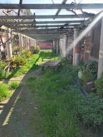 Venta Terreno La Florida - Región Metropolitana