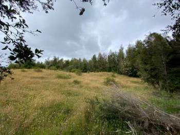 Venta Terreno Dalcahue - Los Lagos