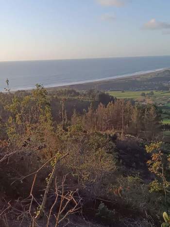 Venta Terreno Buchupureo - Ñuble