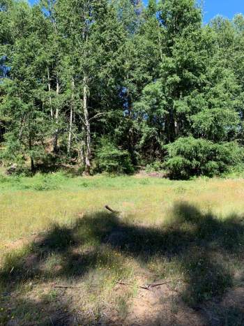 Venta Terreno Pucón - La Araucanía