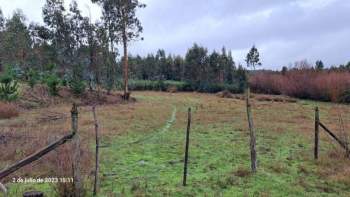 Venta Terreno Florida - Biobío