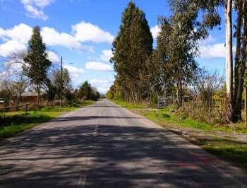 Venta Agrícola Yerbas buenas - Maule