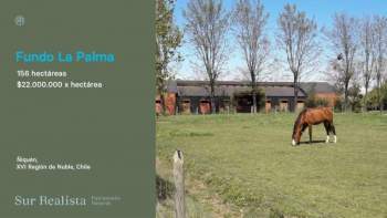 Venta Agrícola Chillán - Ñuble