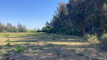 Venta Terreno Yerbas buenas - Maule