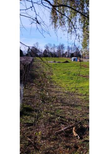 Venta Agrícola El carmen - Ñuble