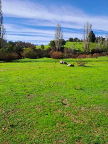 Venta Terreno Florida - Biobío