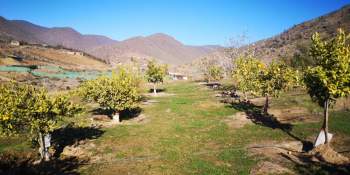 Venta Terreno Algarrobito - Coquimbo