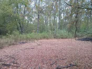 Venta Terreno Ñiquén - Ñuble