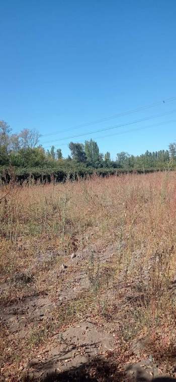 Venta Terreno Colbún - Maule