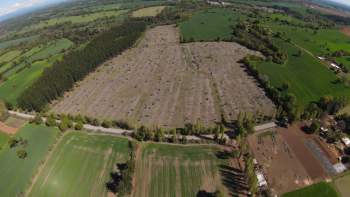 Venta Terreno Pemuco - Ñuble