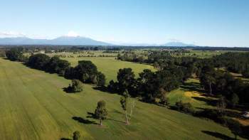 Venta Agrícola Puerto Octay - Los Lagos