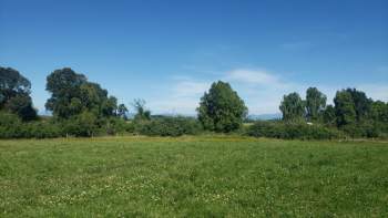Venta Agrícola Puerto Octay - Los Lagos