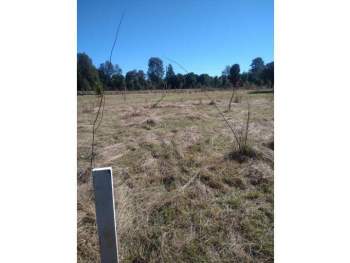 Venta Terreno Panguipulli - Los Ríos