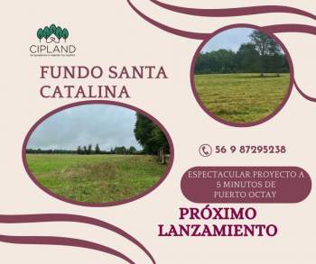 Venta Agrícola Puerto Octay - Los Lagos