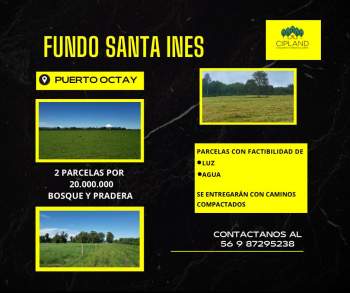 Venta Agrícola Puerto Octay - Los Lagos