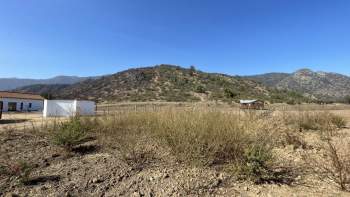 Venta Terreno Santa Cruz - O'Higgins
