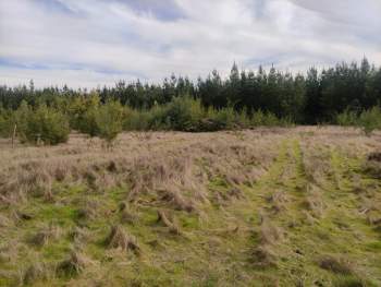 Venta Terreno Chillan viejo - Ñuble