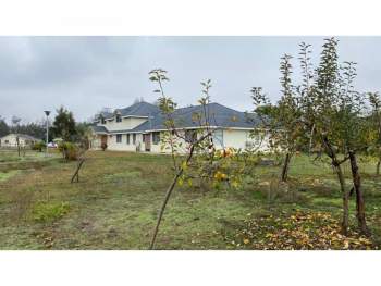 Venta Terreno Ñiquén - Ñuble