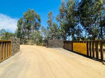 Venta Terreno Hualañé - Maule
