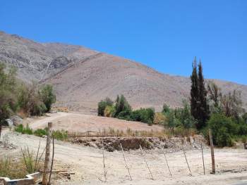 Venta Agrícola Alto del carmen - Atacama