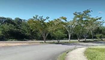 Venta Comercial Kanasín Centro - Kanasín