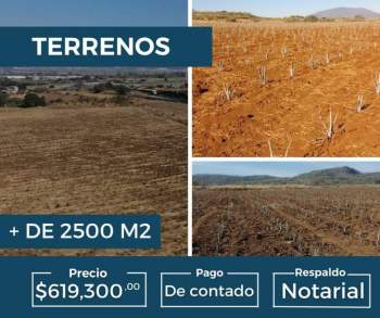 Venta Agrícola Calvillo - Aguascalientes