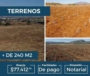 Renta Agrícola Culiacán - Sinaloa