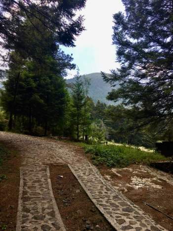 Venta Lote Santo Tomas Ajusco - Tlalpan