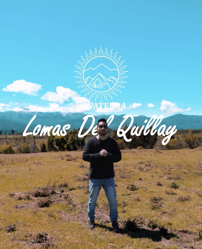 Mario Díaz Propiedades logo