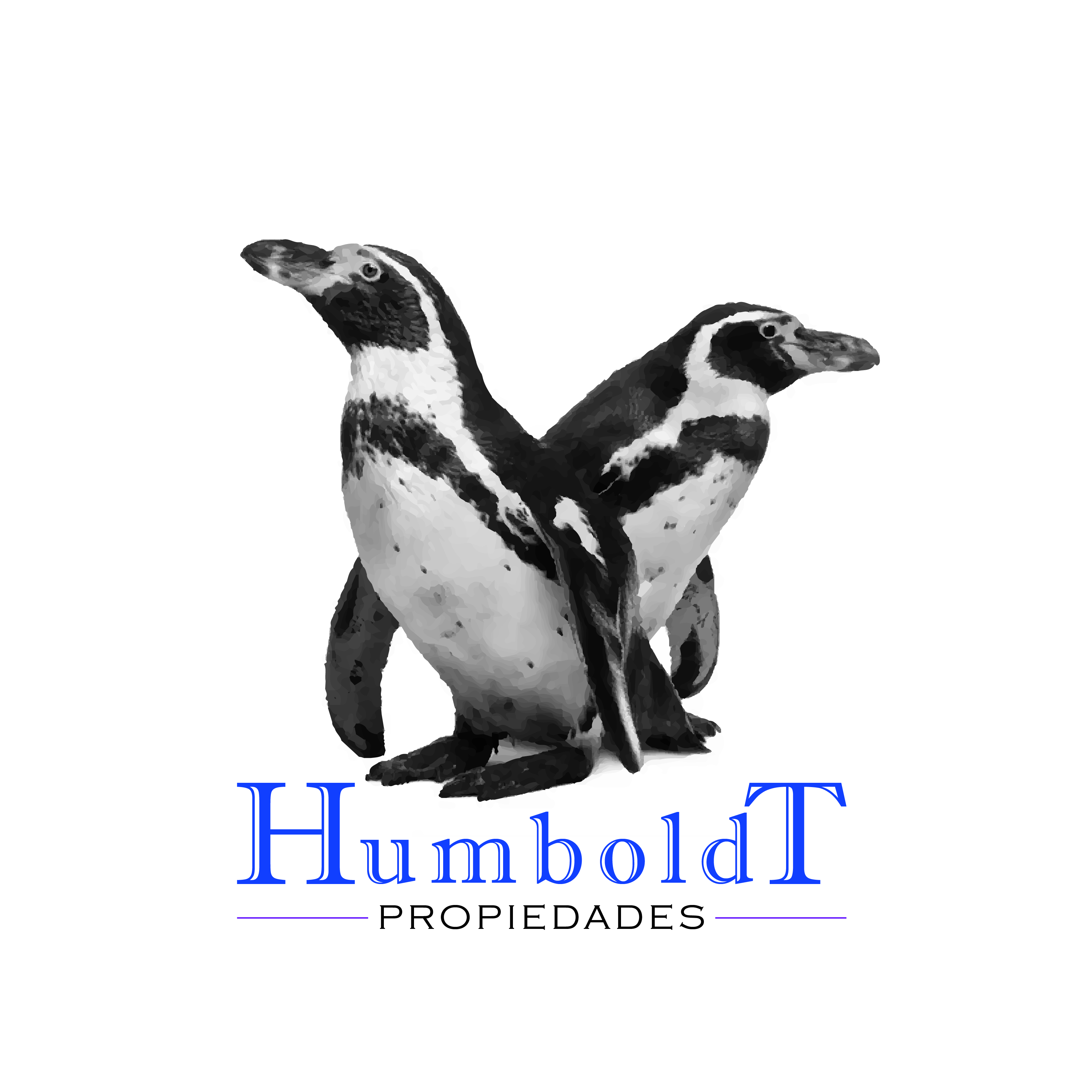 Humboldt Propiedades logo