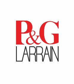 PyG Larrain Propiedades logo