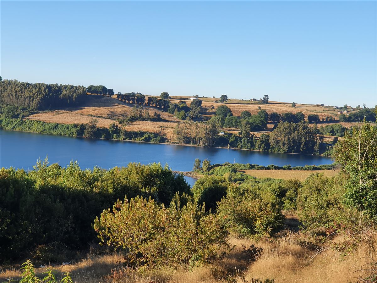 Venta Parcela Frutillar - Los Lagos