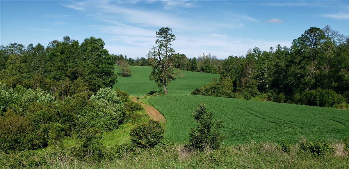 Venta Parcela Frutillar - Los Lagos