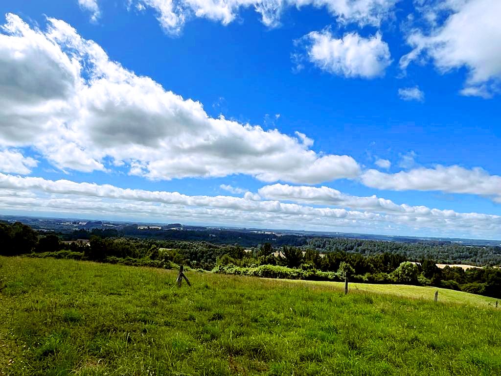 Venta Parcela Puerto Varas - Los Lagos