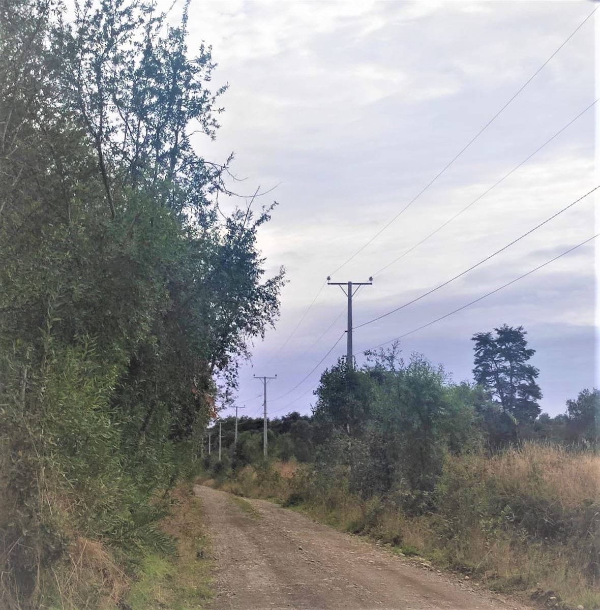 Venta Sitio Puerto Varas - Los Lagos