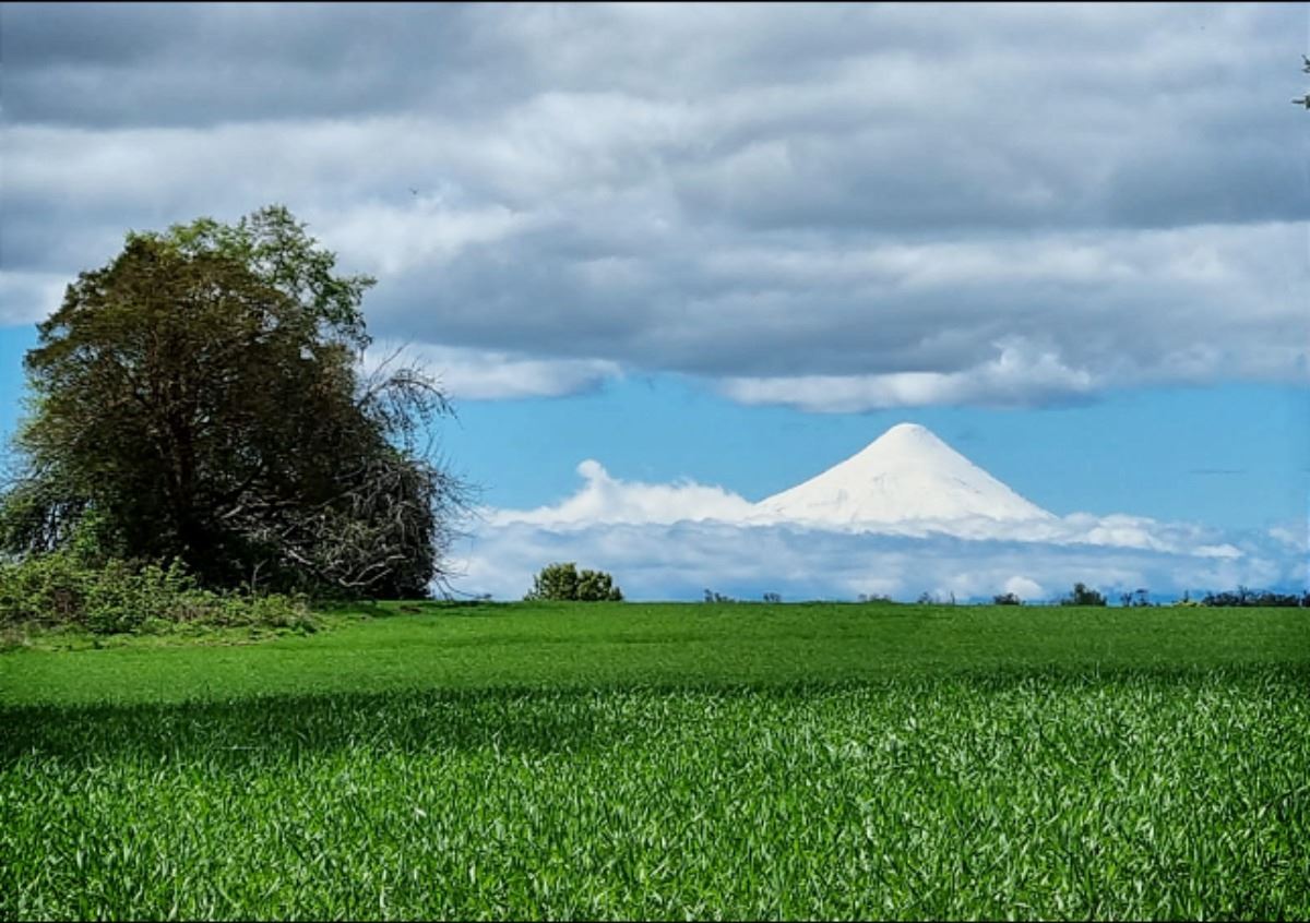 Venta Sitio Frutillar - Los Lagos