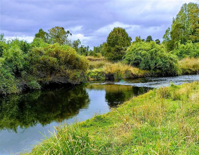 Venta Sitio Los Muermos - Los Lagos