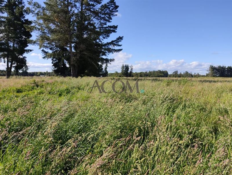 Venta Sitio Frutillar - Los Lagos
