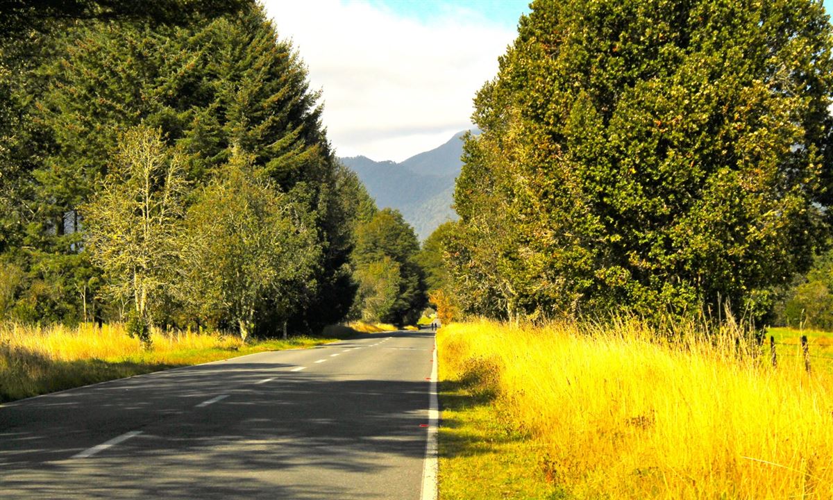 Venta Sitio Puerto Montt - Los Lagos
