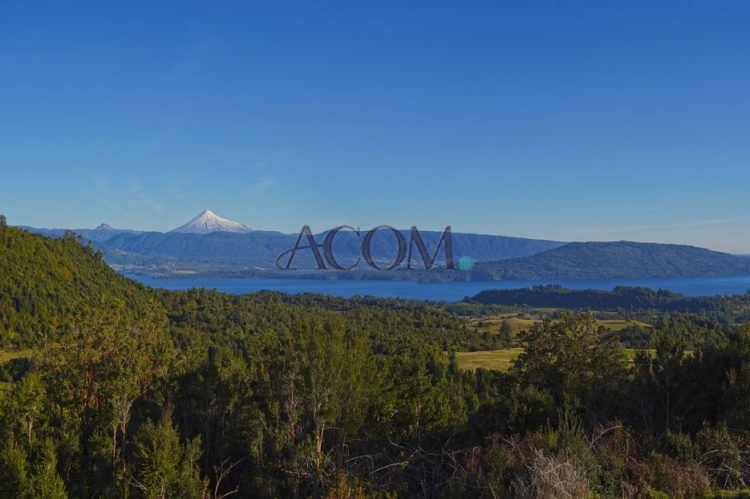 Venta Sitio Puyehue - Los Lagos
