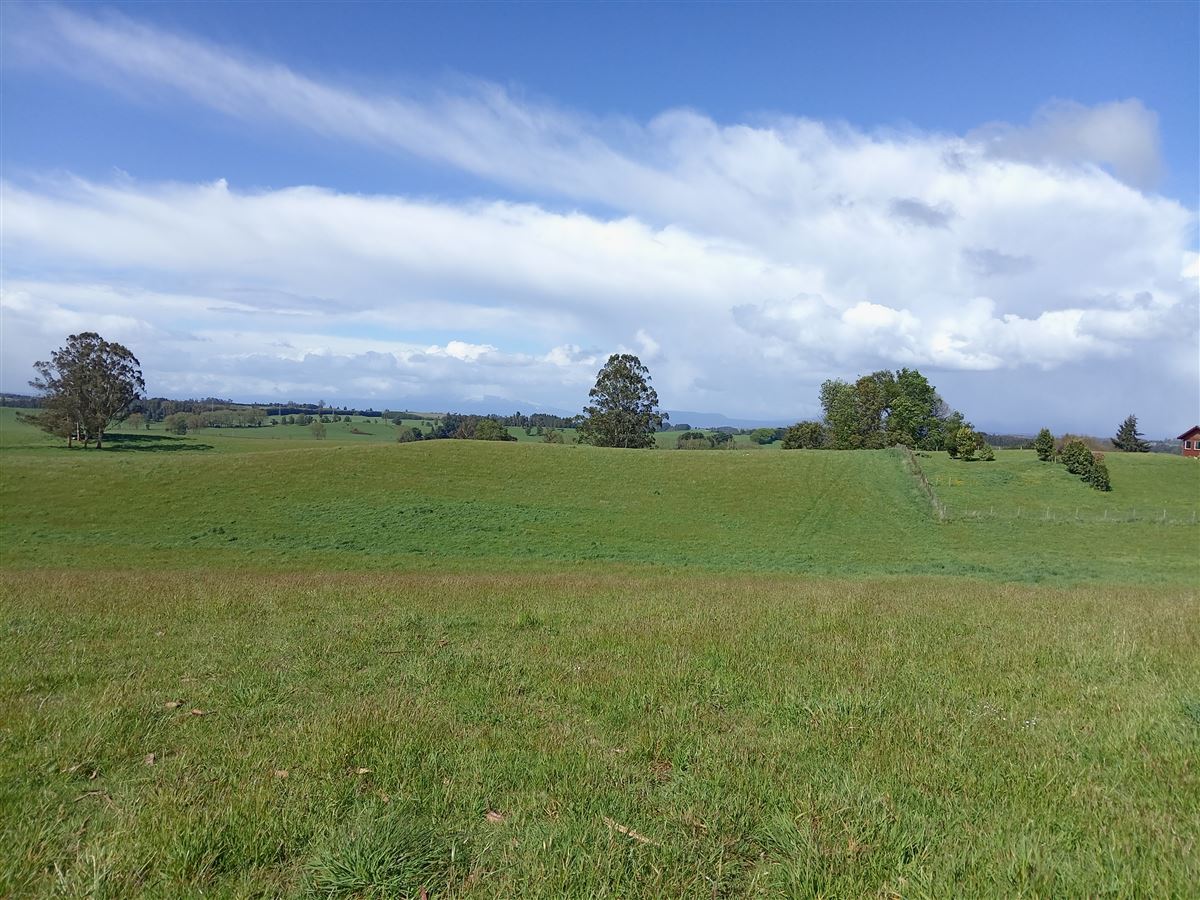 Venta Parcela Llanquihue - Los Lagos