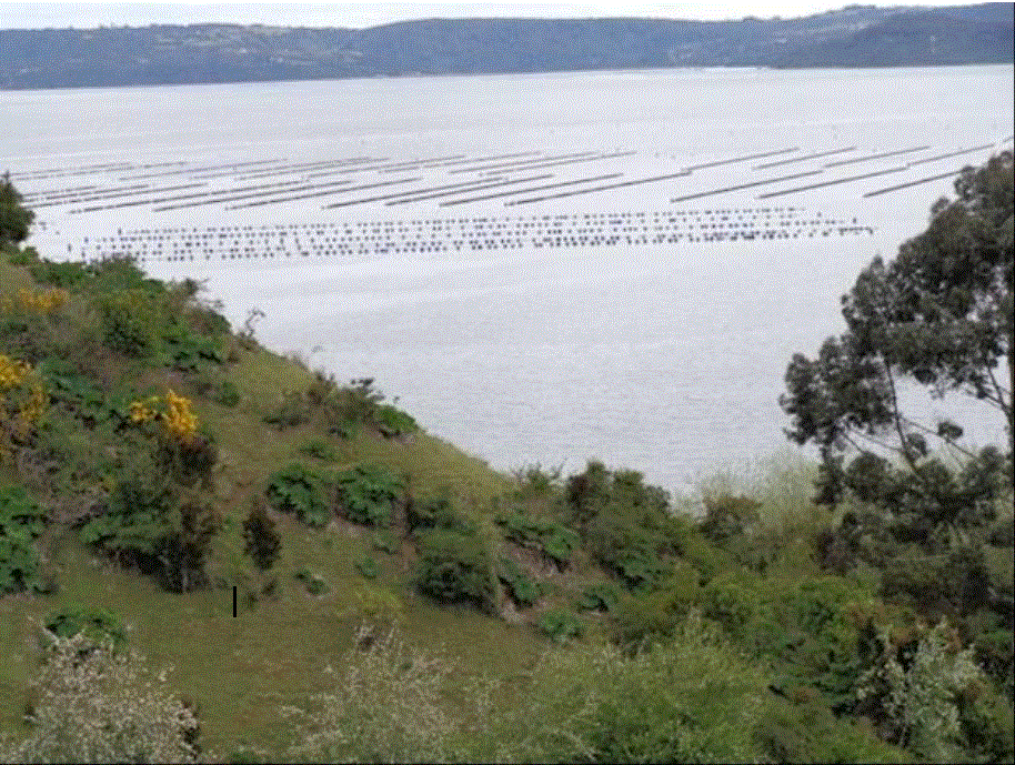 Venta Parcela Puqueldón - Los Lagos