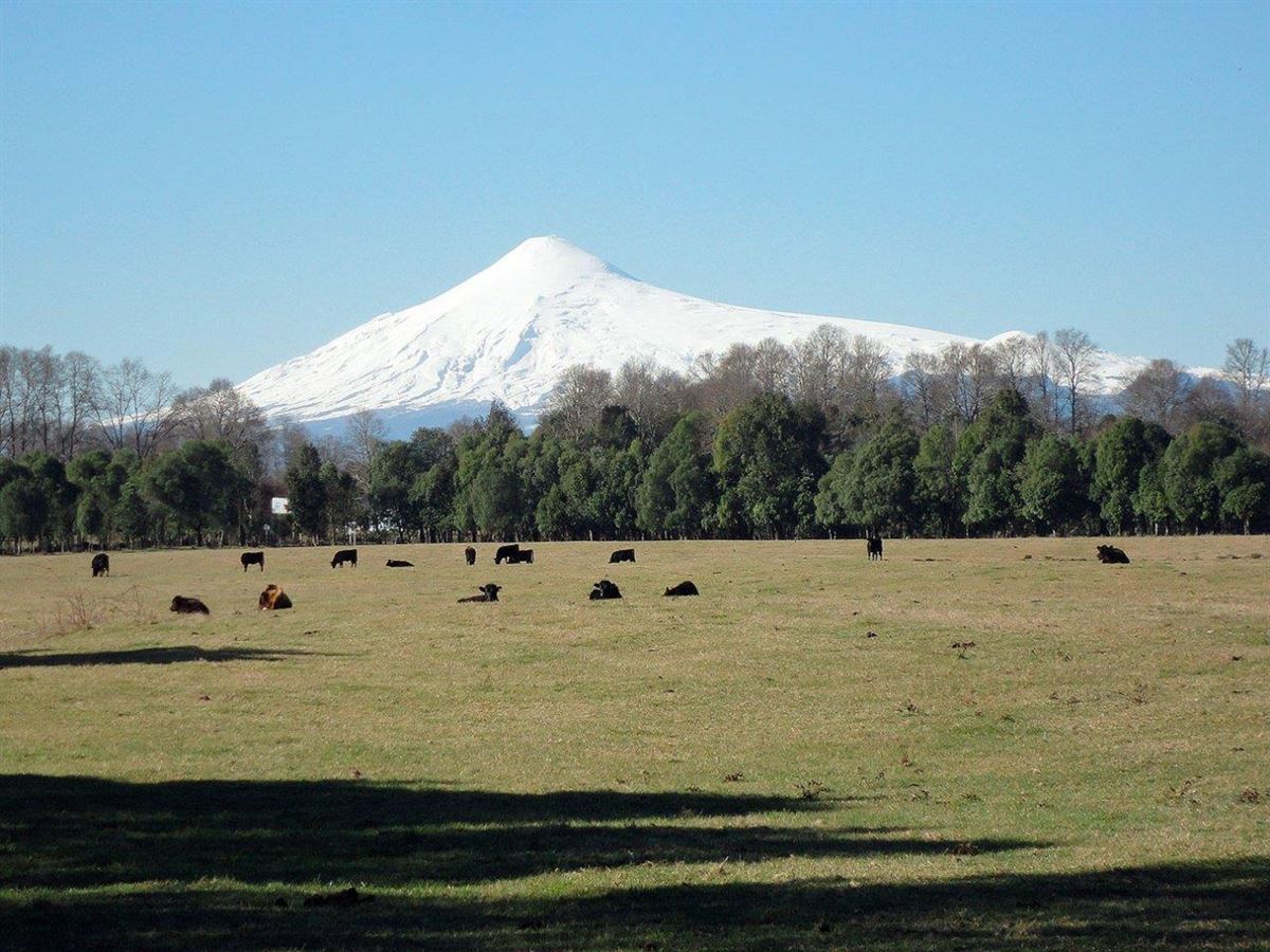 Venta Agrícola Panguipulli - Los Ríos