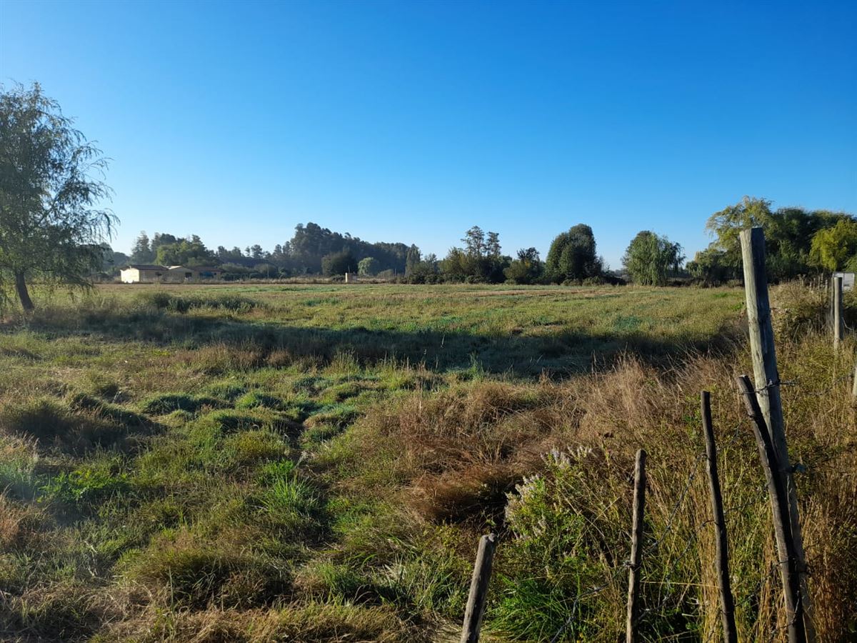 Venta Sitio Longaví - Maule