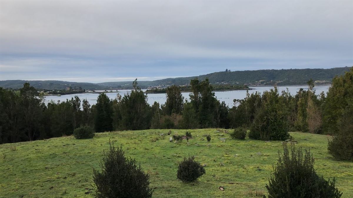 Venta Parcela Quellón - Los Lagos