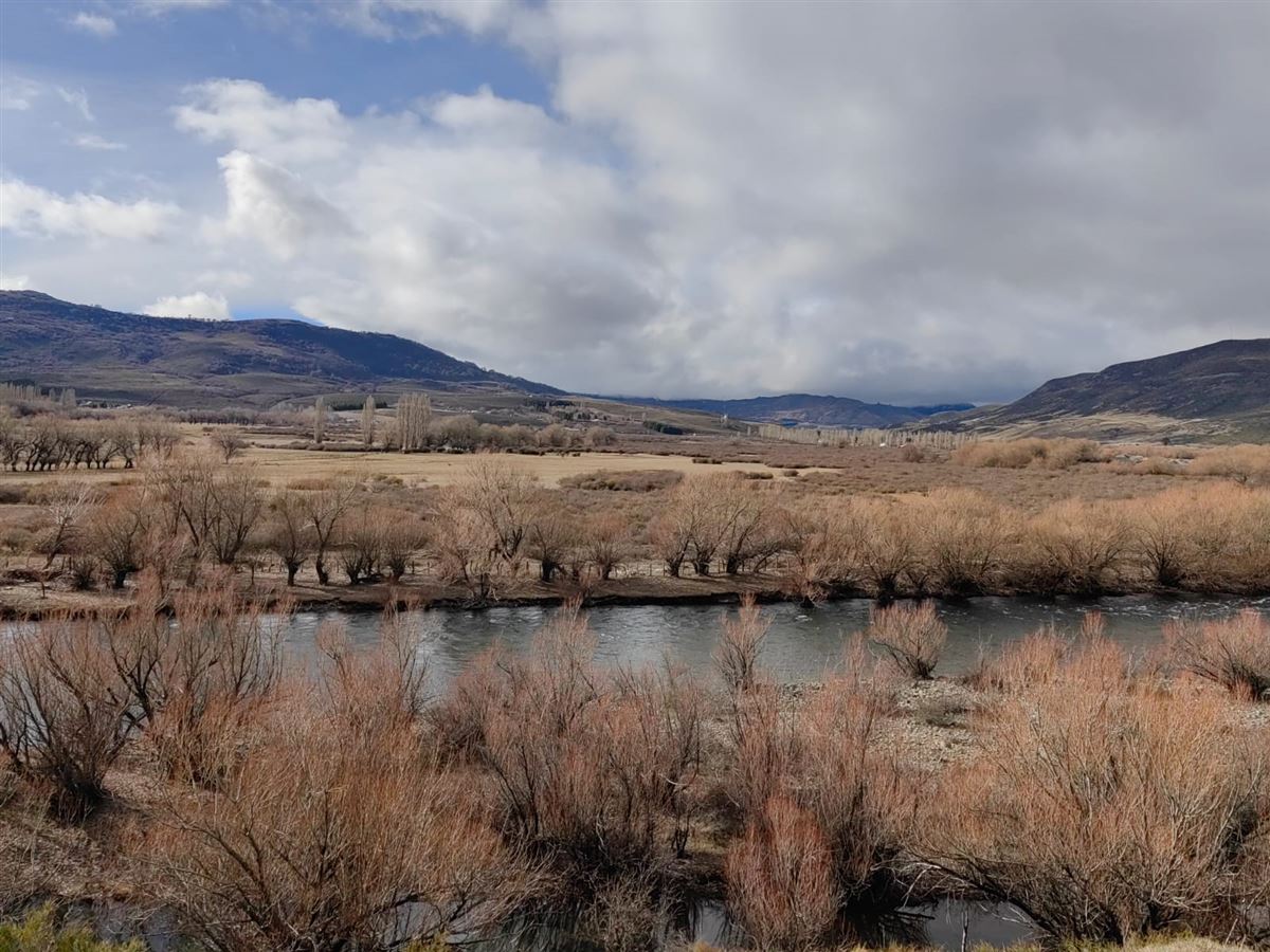 Venta Parcela Lonquimay - La Araucanía