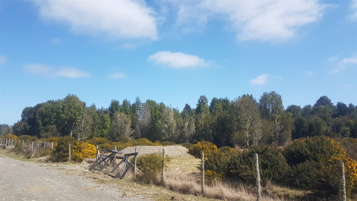 Venta Agrícola Dalcahue - Los Lagos